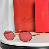 Cartier Sunglasses AAA (315)