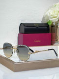 Cartier Sunglasses AAA (1222)