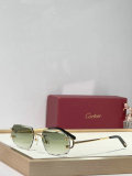 Cartier Sunglasses AAA (1115)