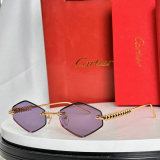 Cartier Sunglasses AAA (299)