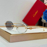 Cartier Sunglasses AAA (1672)