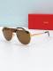 Cartier Sunglasses AAA (3710)