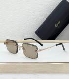 Cartier Sunglasses AAA (1913)