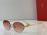 Cartier Sunglasses AAA (2842)