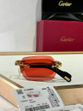 Cartier Sunglasses AAA (1133)