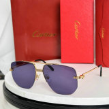 Cartier Sunglasses AAA (1306)