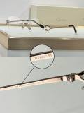 Cartier Sunglasses AAA (2198)
