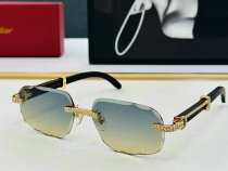 Cartier Sunglasses AAA (1593) Cartier Sunglasses AAA (1593)