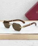 Cartier Sunglasses AAA (2007)