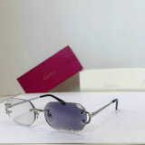 Cartier Sunglasses AAA (56)