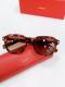Cartier Sunglasses AAA (4081)
