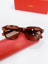 Cartier Sunglasses AAA (4081) Cartier Sunglasses AAA (4081)