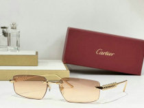 Cartier Sunglasses AAA (867) Cartier Sunglasses AAA (867)