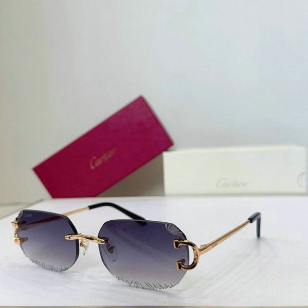 Cartier Sunglasses AAA (47)