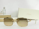 Cartier Sunglasses AAA (424)