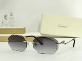 Cartier Sunglasses AAA (269)