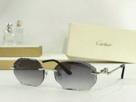 Cartier Sunglasses AAA (269)