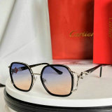 Cartier Sunglasses AAA (202)