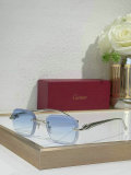 Cartier Sunglasses AAA (658)