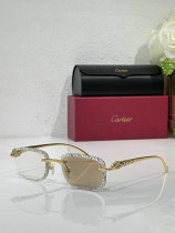 Cartier Sunglasses AAA (602) Cartier Sunglasses AAA (602)