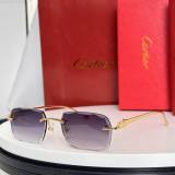 Cartier Sunglasses AAA (3295)