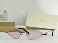 Cartier Sunglasses AAA (448)