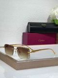 Cartier Sunglasses AAA (1238)