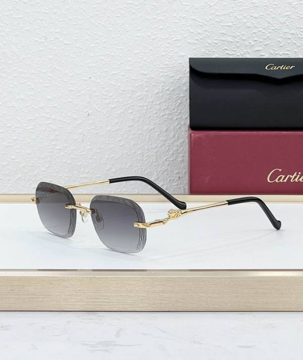 Cartier Sunglasses AAA (1989)
