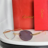 Cartier Sunglasses AAA (316)