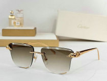 Cartier Sunglasses AAA (1627) Cartier Sunglasses AAA (1627)