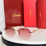Cartier Sunglasses AAA (2873)