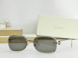 Cartier Sunglasses AAA (486)