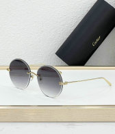 Cartier Sunglasses AAA (563)