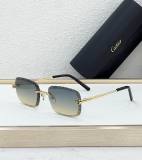 Cartier Sunglasses AAA (1909)