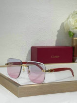 Cartier Sunglasses AAA (632) Cartier Sunglasses AAA (632)