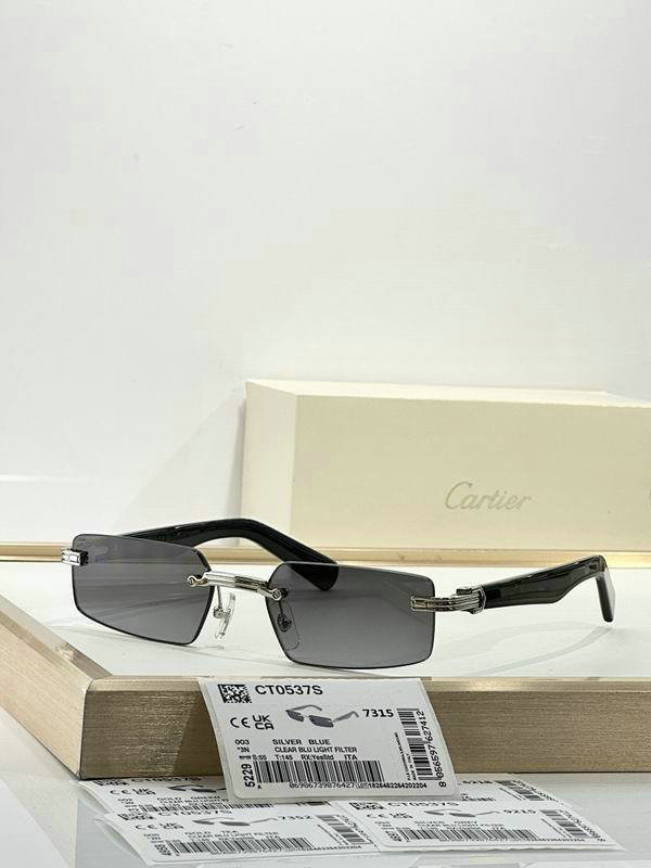 Cartier Sunglasses AAA (496)