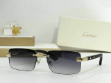 Cartier Sunglasses AAA (330)