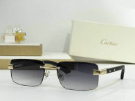 Cartier Sunglasses AAA (330)