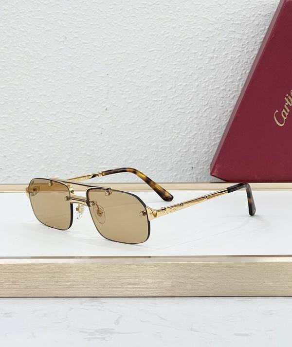 Cartier Sunglasses AAA (1978)