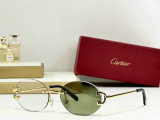Cartier Sunglasses AAA (1003)