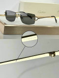 Cartier Sunglasses AAA (231)