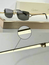 Cartier Sunglasses AAA (231) Cartier Sunglasses AAA (231)