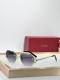 Cartier Sunglasses AAA (3912)