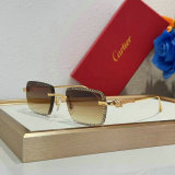 Cartier Sunglasses AAA (61)