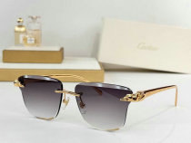 Cartier Sunglasses AAA (1624) Cartier Sunglasses AAA (1624)