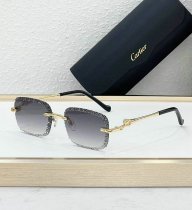 Cartier Sunglasses AAA (619) Cartier Sunglasses AAA (619)