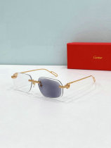 Cartier Sunglasses AAA (1570) Cartier Sunglasses AAA (1570)