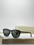 Cartier Sunglasses AAA (115)