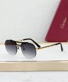 Cartier Sunglasses AAA (1981)