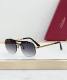 Cartier Sunglasses AAA (1981)